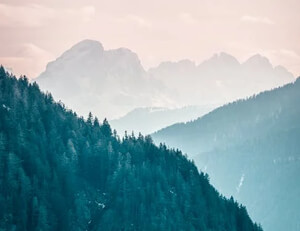 荷兰网球新星勇夺女双冠军,锋芒毕露